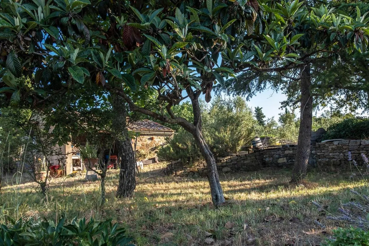 Podere Pruneto Radda in Chianti
